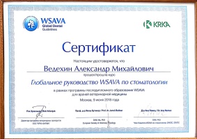 Сертификат WSAVA по стоматологии