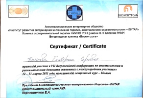 Сертификат (12я Всероссийская конференция по анестезиологии и реаниматологии домашних животных с международным участием)